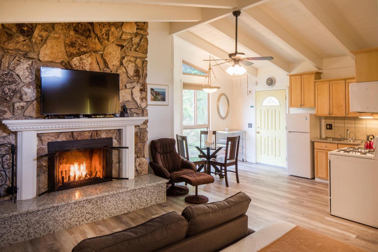 Andril Fireplace
