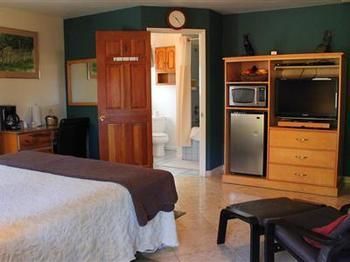 Hotel Andril Fireplace 3*